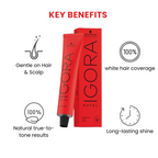 SCHWARZKOPF IGORA ROYAL 9,5-1 (60ML)