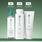 Matrix Biolage Scalp Sync Anti-Dandruff Shampoo Conditioner Concentrate combo