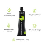 Loreal Professionnel Paris Inoa Ammonia-Free Permanent Hair Color - 1 (Black)