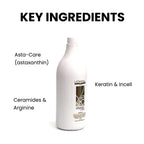 Loreal Xtenso Gold Care Shampoo 1.5LTRS